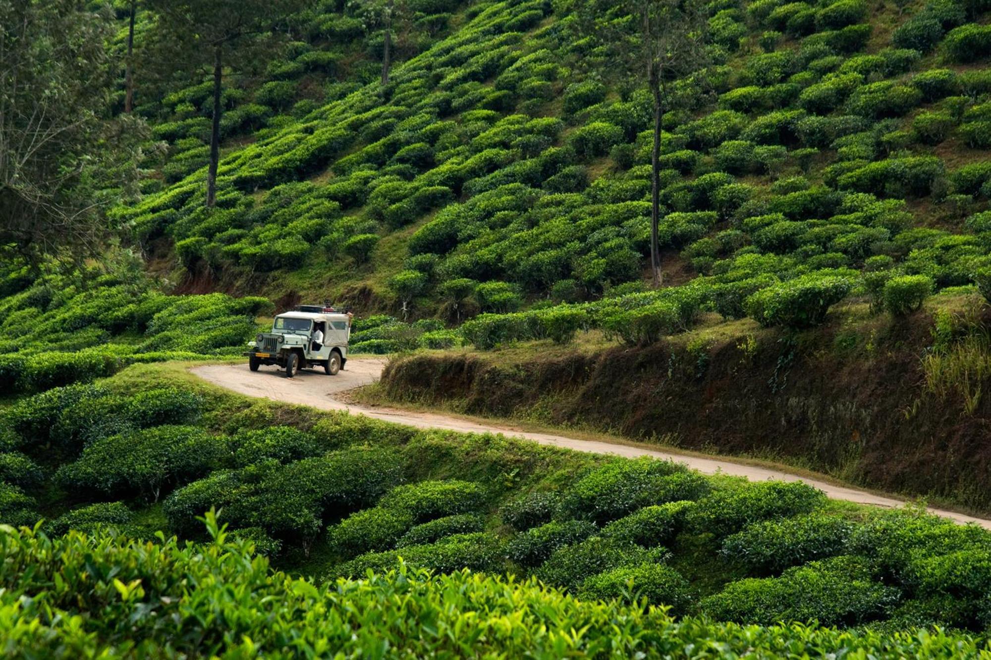SpiceGreen Homestay,Thekkady Luaran gambar