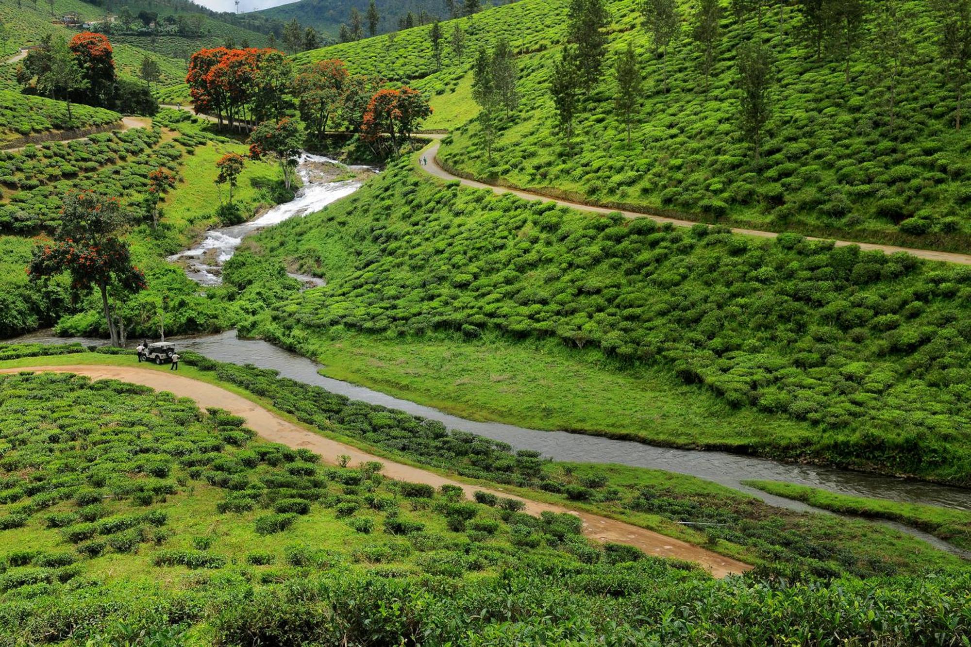 SpiceGreen Homestay,Thekkady Luaran gambar