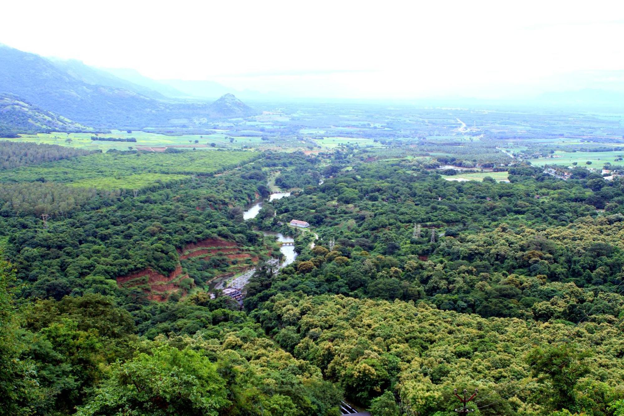 SpiceGreen Homestay,Thekkady Luaran gambar