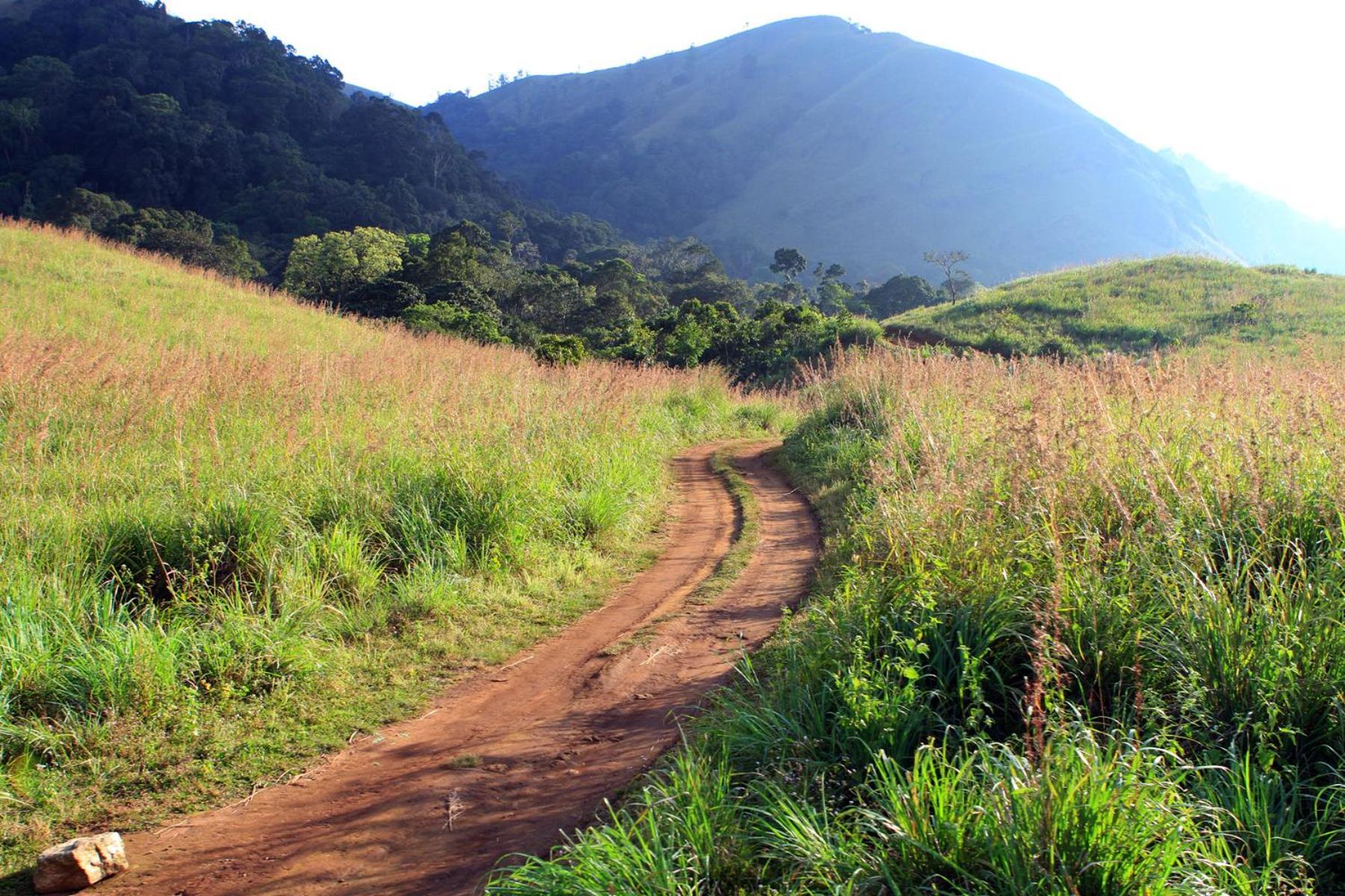 SpiceGreen Homestay,Thekkady Luaran gambar