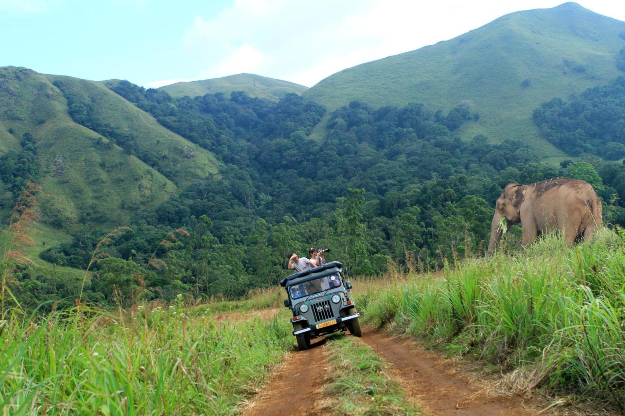 SpiceGreen Homestay,Thekkady Luaran gambar